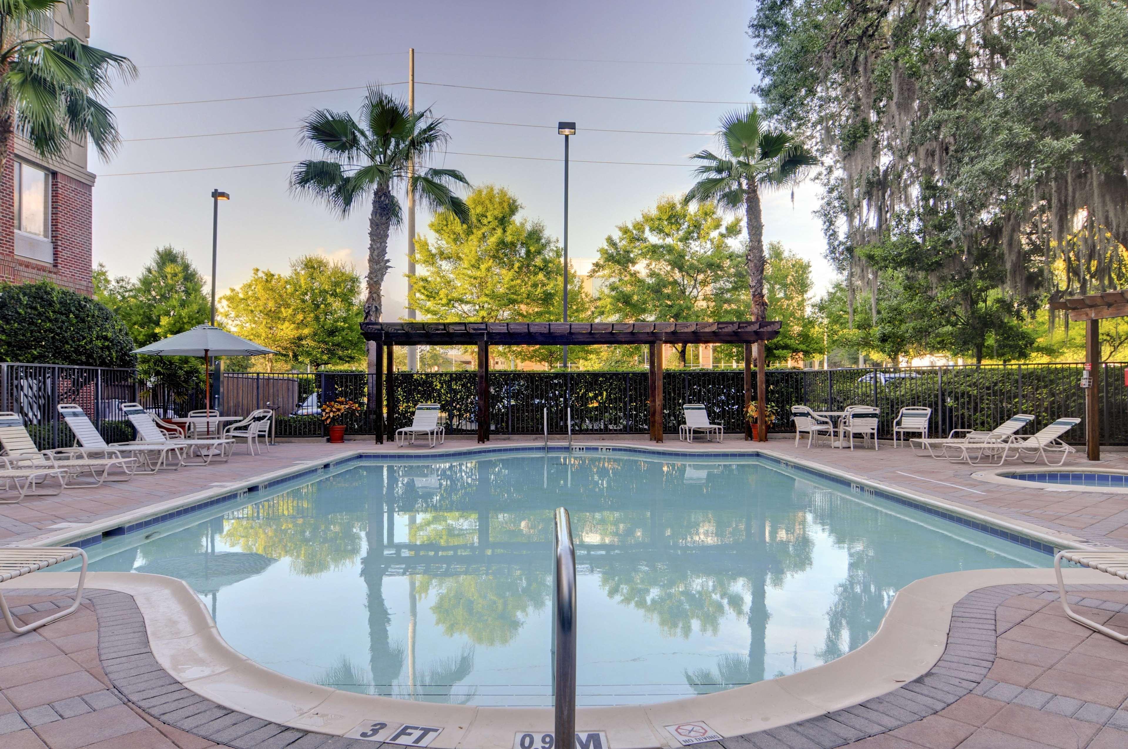 Hilton Garden Inn Tampa East Brandon Mango Exteriér fotografie